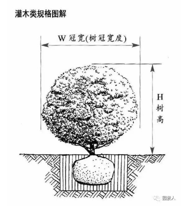 园林人的“专属暗号”
