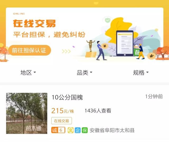 苗木交易骗术多，提高警惕是关键，苗木交易防骗总结