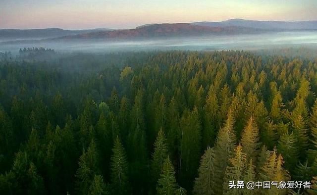 超25%！中国绿化速度世界第一，但外国专家质疑：对环境不利？