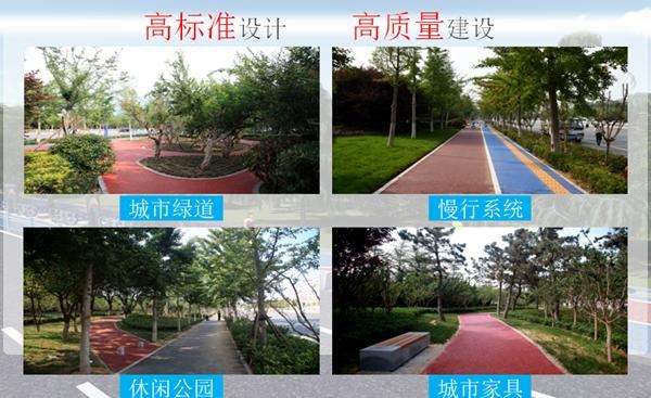 2019，高质量发展这一年｜“小工程”编织“大绿景”！烟台高标准绿化打造市区4条主干慢道