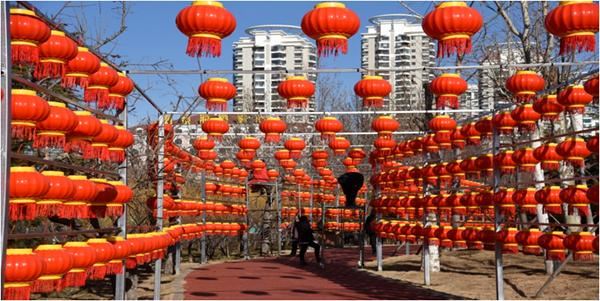 2019，高质量发展这一年｜“小工程”编织“大绿景”！烟台高标准绿化打造市区4条主干慢道
