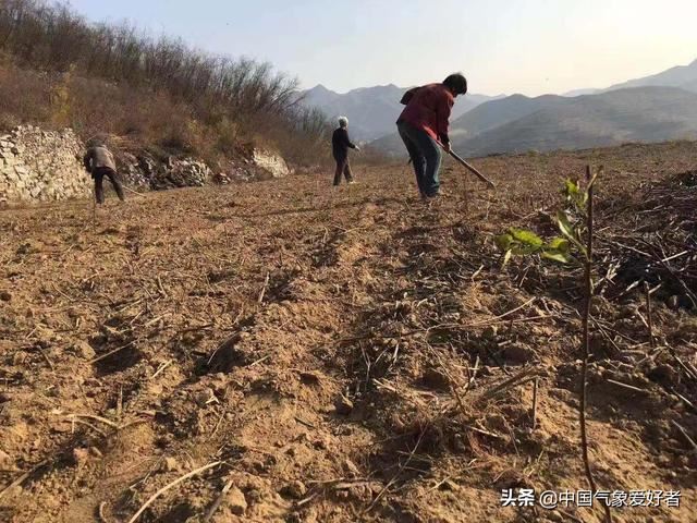 超25%！中国绿化速度世界第一，但外国专家质疑：对环境不利？
