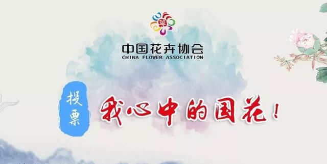 2019年，景观圈那些事