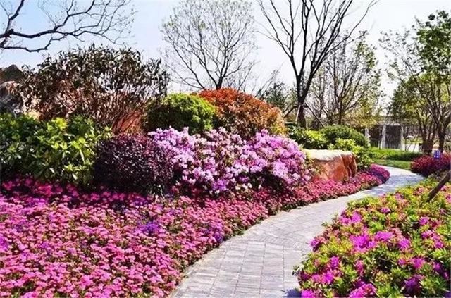 花境设计：庭院 · 花境