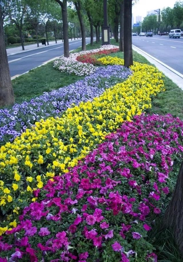 景观知识大放送——花钵、花坛