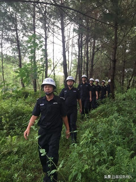 国家林草局：继续完善集体林权制度，保持林地承包关系长久稳定