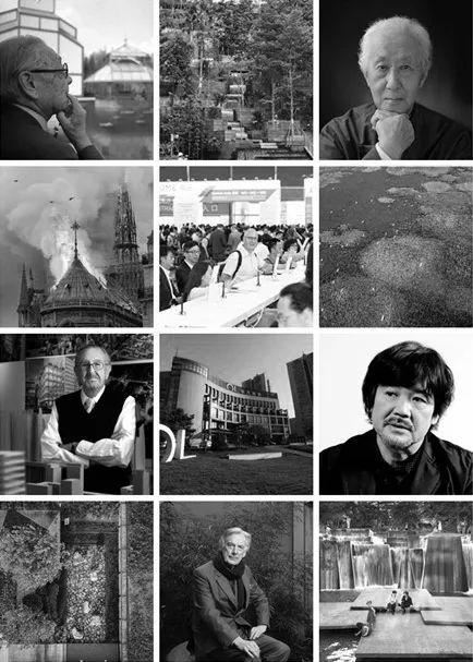 2019年，景观圈那些事