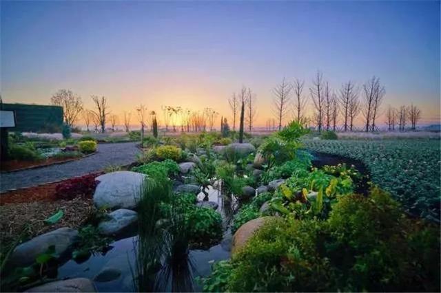 花境设计：庭院 · 花境