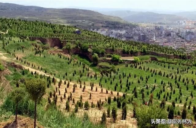 国家林草局：继续完善集体林权制度，保持林地承包关系长久稳定