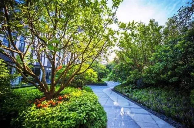 花境设计：庭院 · 花境