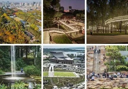 2019年，景观圈那些事