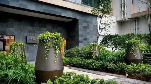 景观知识大放送——花钵、花坛