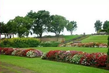 景观知识大放送——花钵、花坛