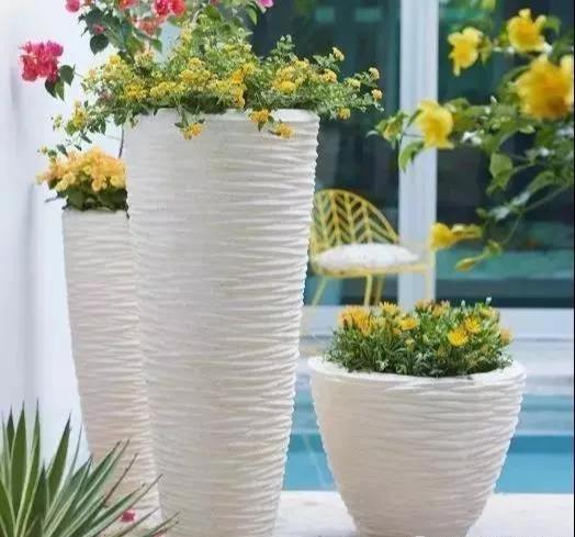景观知识大放送——花钵、花坛