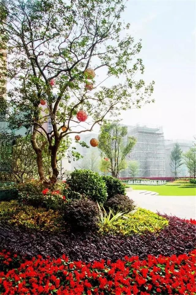 花境设计：庭院 · 花境
