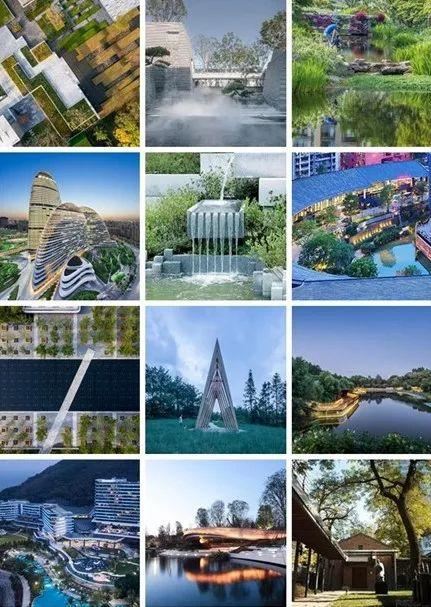 2019年，景观圈那些事