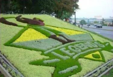 景观知识大放送——花钵、花坛