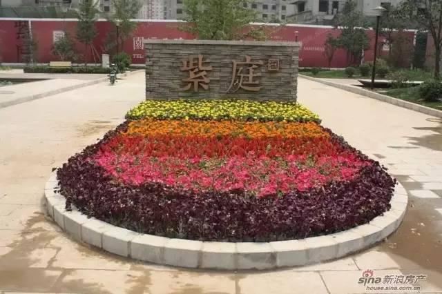 园林软景配置宝典，值得学习
