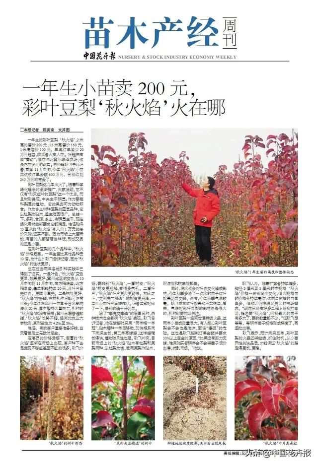 2019年园林苗木产业十大新闻