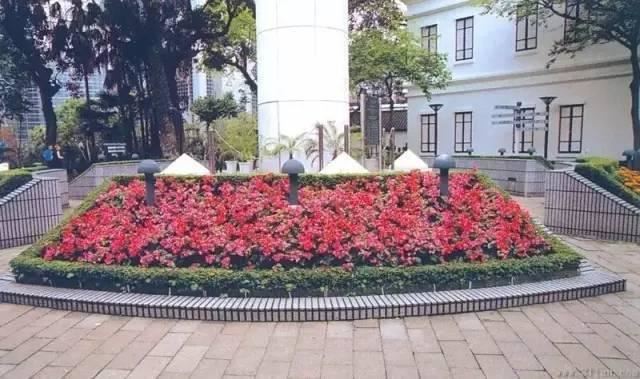 园林软景配置宝典，值得学习