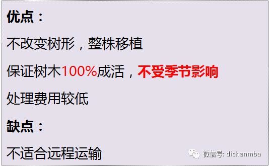 苗木全攻略