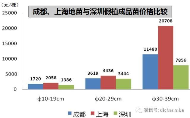 苗木全攻略