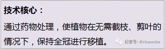 苗木全攻略