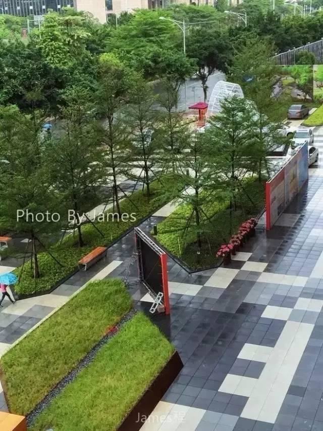园林软景配置宝典，值得学习