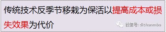 苗木全攻略