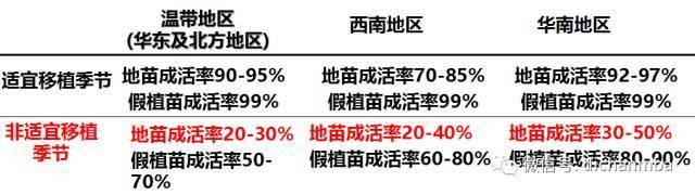 苗木全攻略