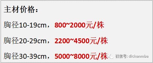 苗木全攻略