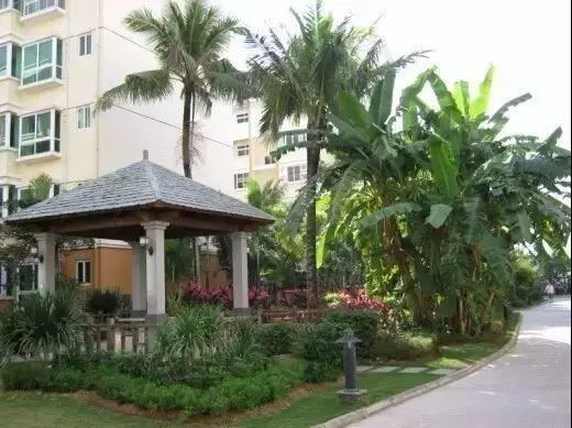 园林软景配置宝典，值得学习