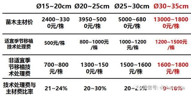 苗木全攻略