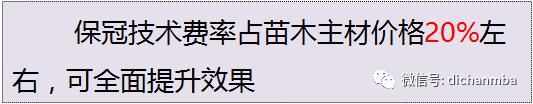 苗木全攻略
