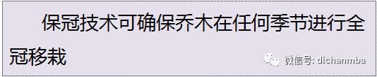 苗木全攻略