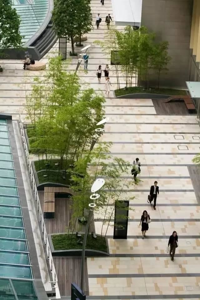 园林软景配置宝典，值得学习