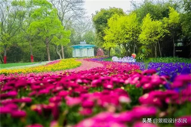 园林景观中的重头设计元素——植物景观