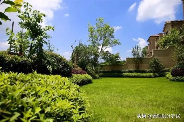园林景观中的重头设计元素——植物景观