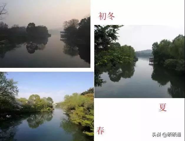 园林绿化及园林绿化施工全解