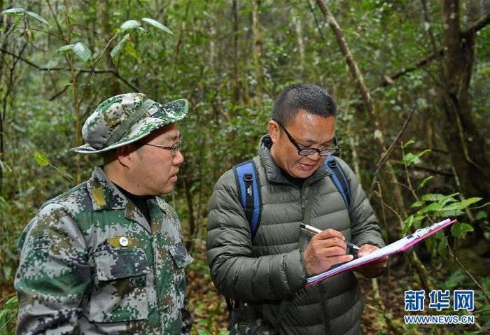 [野生动植物]武夷山国家公园加大野生动物监测范围
