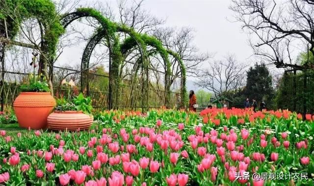 园林景观中的重头设计元素——植物景观