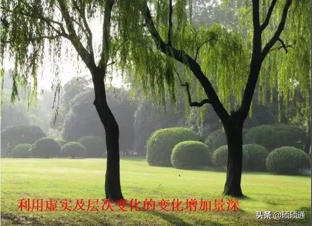园林绿化及园林绿化施工全解
