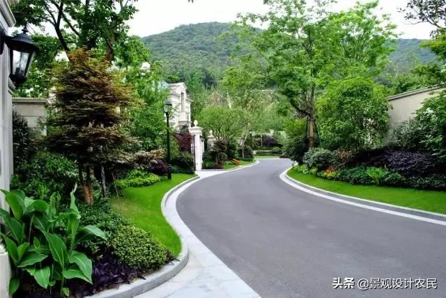 园林景观中的重头设计元素——植物景观