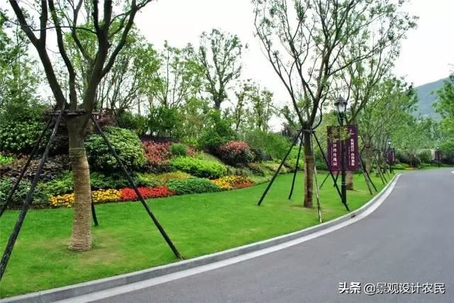 园林景观中的重头设计元素——植物景观