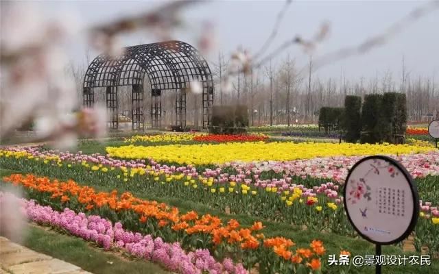 园林景观中的重头设计元素——植物景观