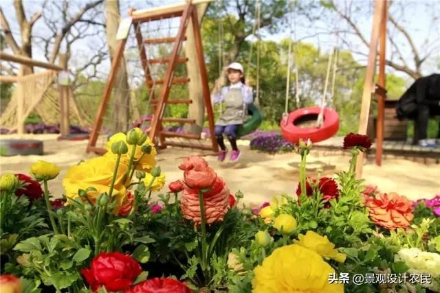 园林景观中的重头设计元素——植物景观