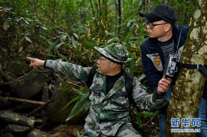[野生动植物]武夷山国家公园加大野生动物监测范围