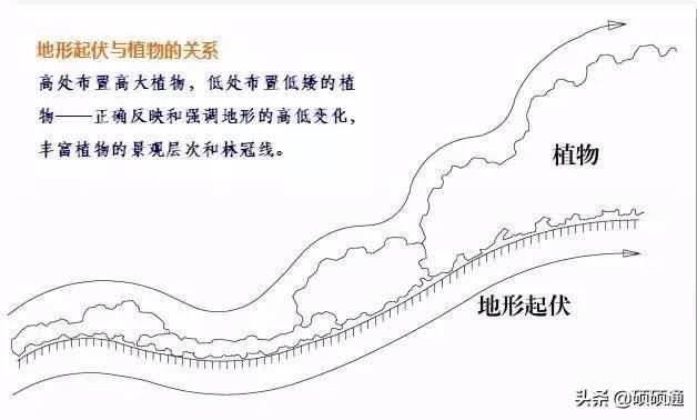 园林绿化及园林绿化施工全解