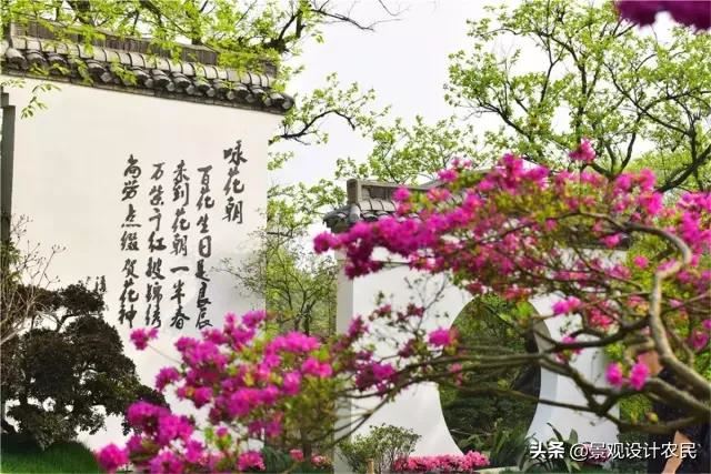 园林景观中的重头设计元素——植物景观