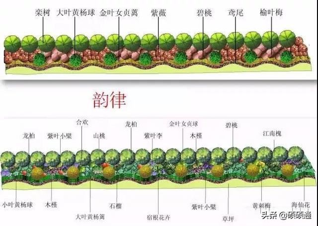 园林绿化及园林绿化施工全解